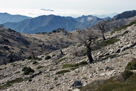 View of mountains from Torrecilla