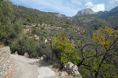 The path descending to Fornalutx