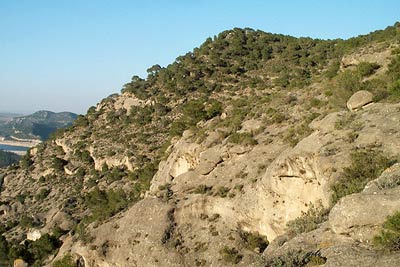 Approaching the summit of Point 604