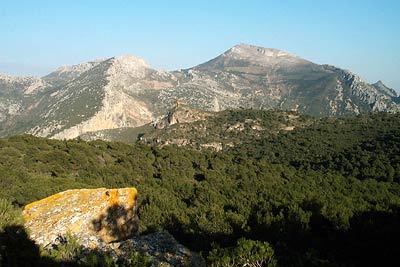 La Huma (1188 m.) from summit of Point 604