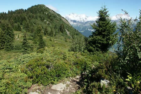 Le Prarion from above Col de Voza