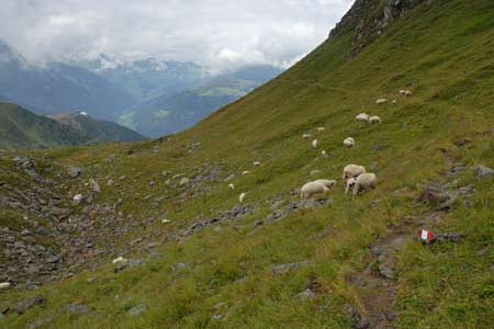 The route from the Edelhütte to the viewpoint