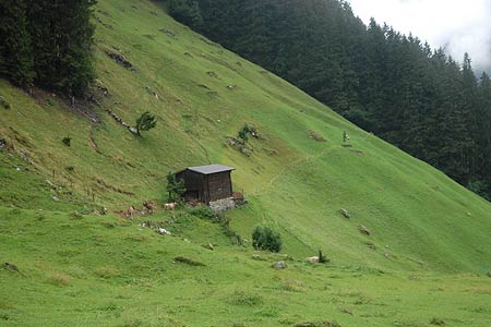 Alpine barn above Ginzling village