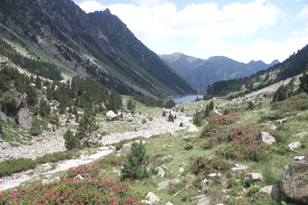 Looking back to the Lac de Gaube