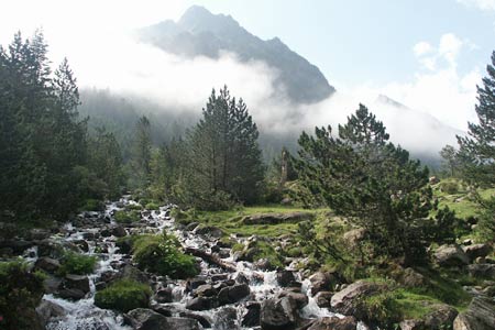 Mountain stream in the Vallée de Lutour