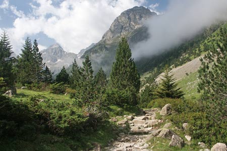 The path climbs higher in the Vallée de Lutour