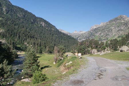 Photo from the walk - Refuge Wallon from Pont d'Espagne, near Cauterets