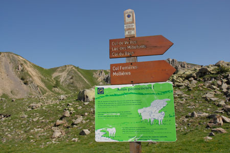 Sign at Millefonts warning walkers of guard dogs with sheep