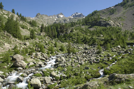 Cime du Gélas near la Madone de Fenestre from GR52