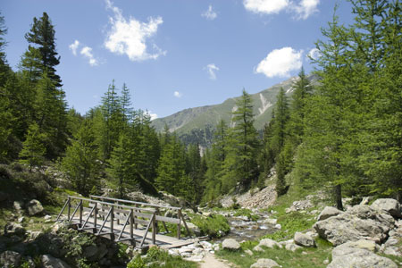 Footbridge in the Vallon de Prals