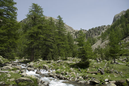 Mountain scenery in the upper reaches of the Boréon Valley