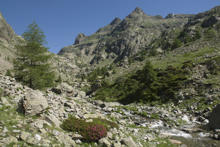 The Gordolasque Valley above Pont du Gountet