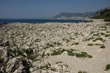 Cap Martin near Roquebrune