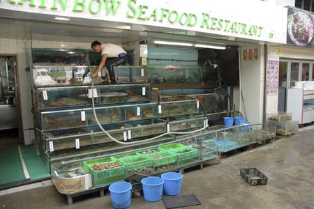 Fresh seafood, Sok Kwu Wan, Lamma Island, Hong Kong