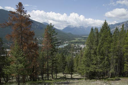 Looking down on Banff from Tunnel Mountain