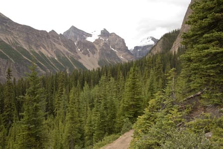 The final stages of the path to Lake Agnes