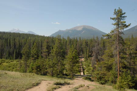 Board walk at Wabasso Creek,Valley of the Five Lakes