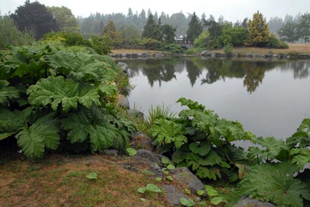 View across Lost lagoon, Stanley Park, Vancouver