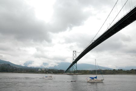 Lion's Gate Bridge from Stanley Park, Vancouver