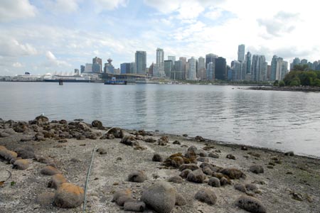 Downtown Vancouver from Stanley Park