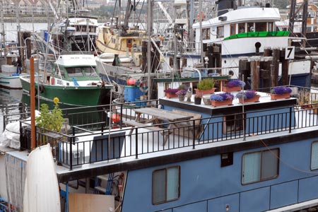 Fishing boats moored at Fisherman's Wharf, Victoria