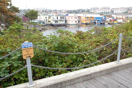 View from the Waterfront Walk, Victoria