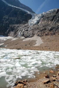 Ice from the Angel Glacier floats in the Cavell Pond