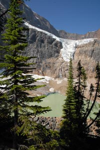 Photo from the walk - The Cavell Meadows Trail