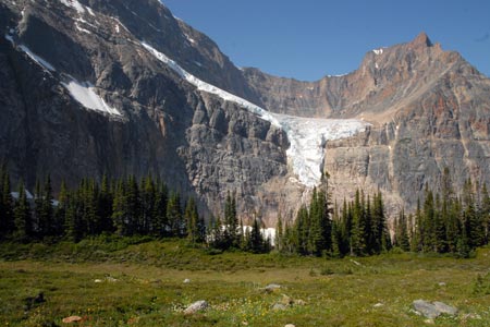 Angel Glacier & Sorrow Peak from Cavell Meadows Trail