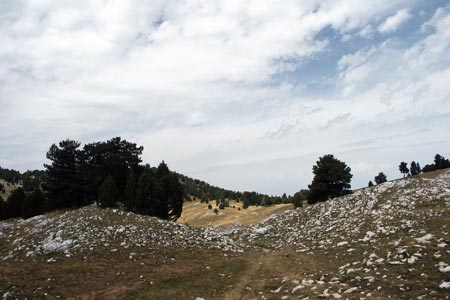 View across the limestone plateau of the Vercors