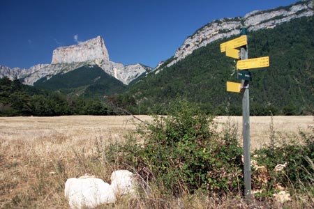 Mont Aiguille from near Clelles railway station