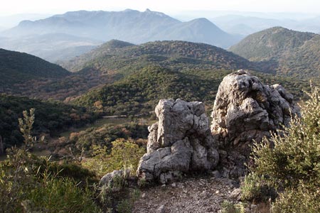 View of hills from El Torreon path