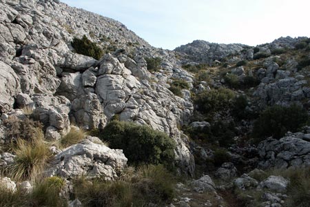 Limestone outcrops near El Torreon's summit