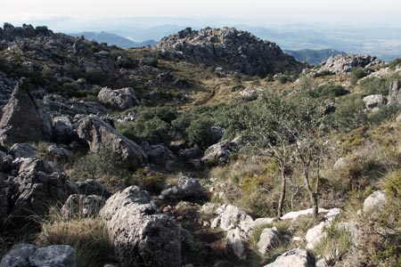 View from path near El Torreon's summit