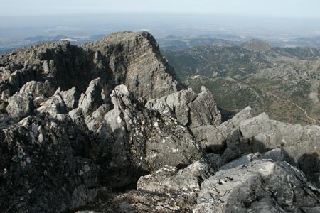 View from summit of El Torreon