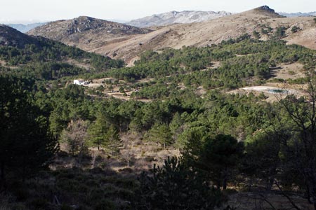 View over Cortijo de los Quejigales from Torrecilla path