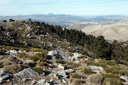 Above the treeline on the path to Torrecilla