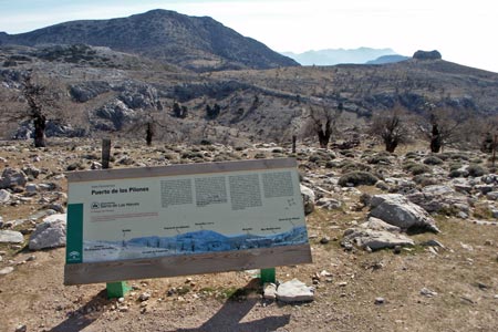 Information board at Puerto de los Pilones