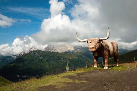 Wooden bull outside the Rifugio Friedrich August