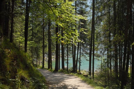 Eibsee - shaded path on the north side of the lake