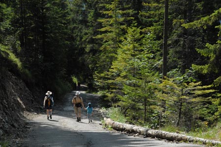 Track from Esterberg to Garmisch-Partenkirchen