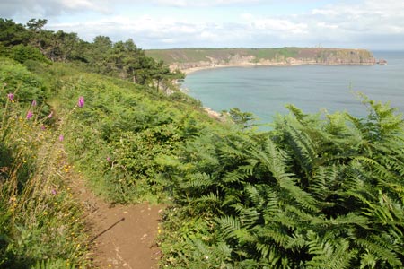 Cap Fréhel from the early stages of the walk