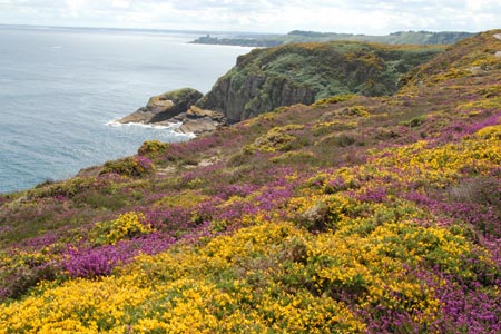 View to Fort de la Latte from Cap Fr&eacute;hel