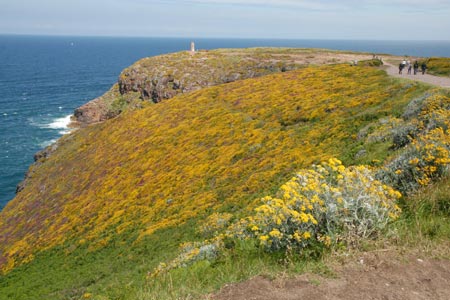 View of Cap Fréhel