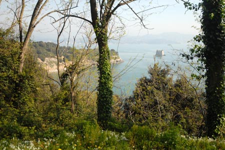 Isola Palmaria - view along the eastern coast