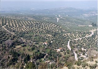 Olive plains of Jaen from path above San Isicio