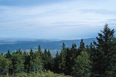Photo from the walk - Kaitersberg Mountain