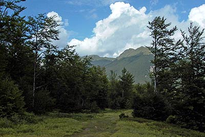 Looking back towards Mount Bocca