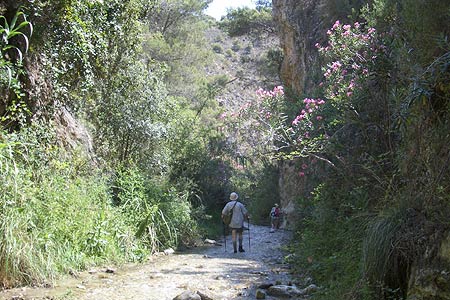 Two sticks are better than one in the Rio Chillar