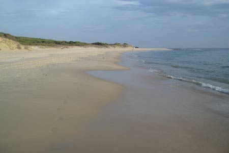 The wide beach at El Lentiscal, Tarifa